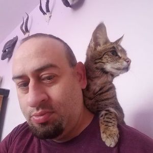 Meet your Posher, Fayne